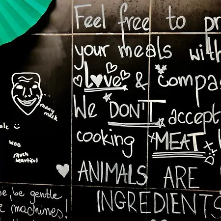 بيت شباب The Academy *