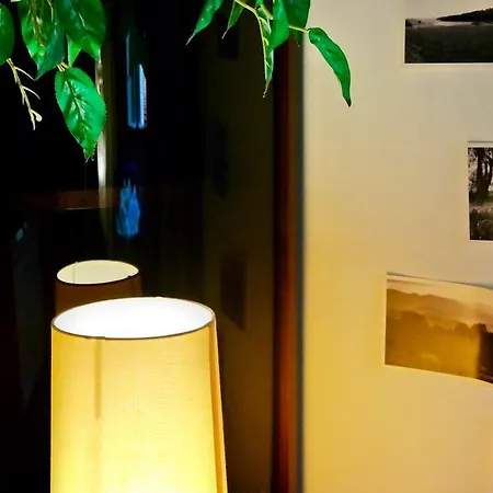 بيت شباب The Academy