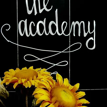 بيت شباب The Academy البندقية