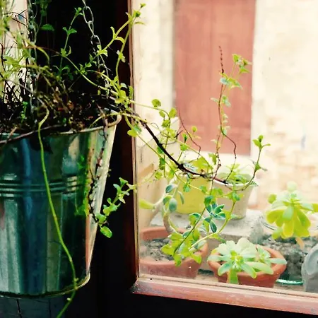 The Academy بيت شباب