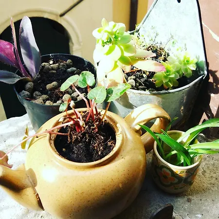 The Academy Hostel Velence