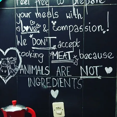 بيت شباب The Academy *