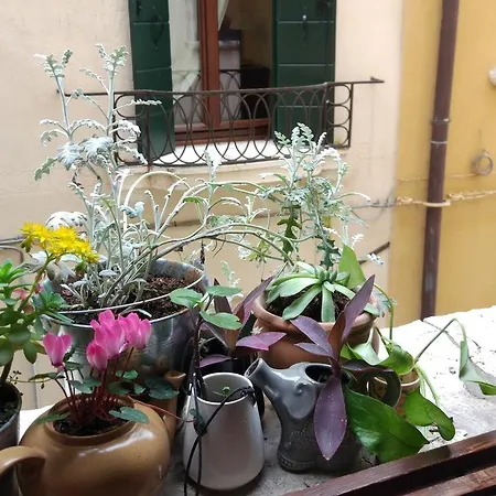 بيت شباب The Academy البندقية