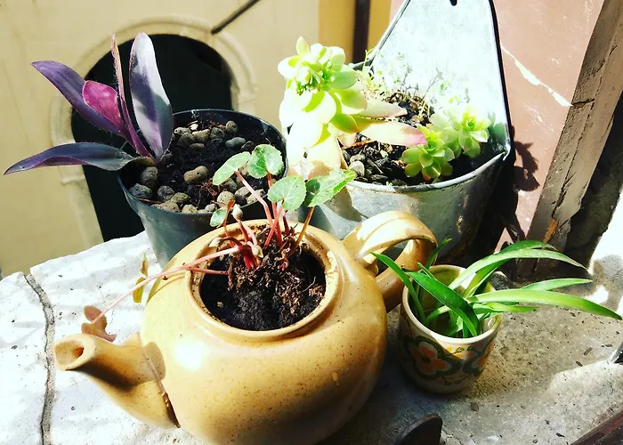 The Academy Hostel Venedik