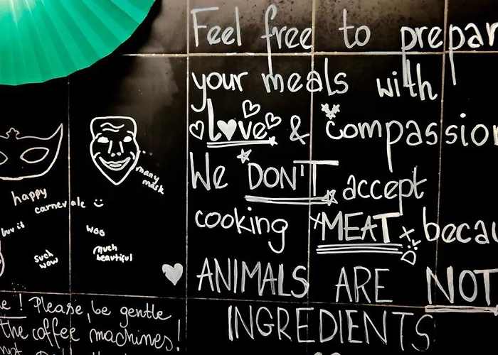 Albergue The Academy *