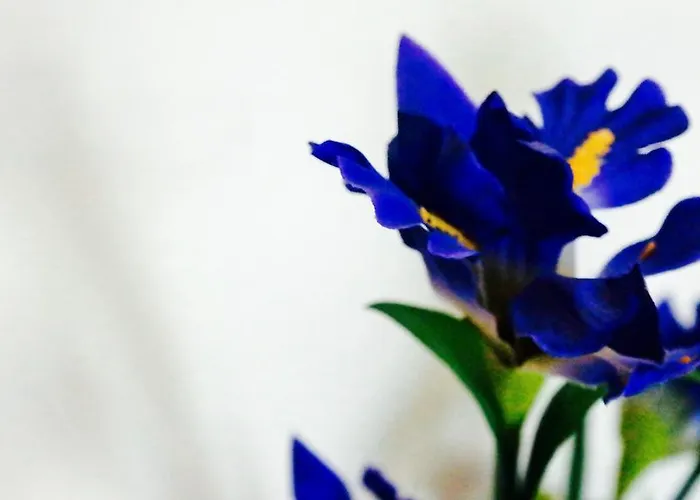 Albergue The Academy