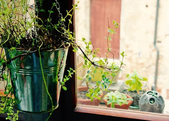 The Academy Albergue