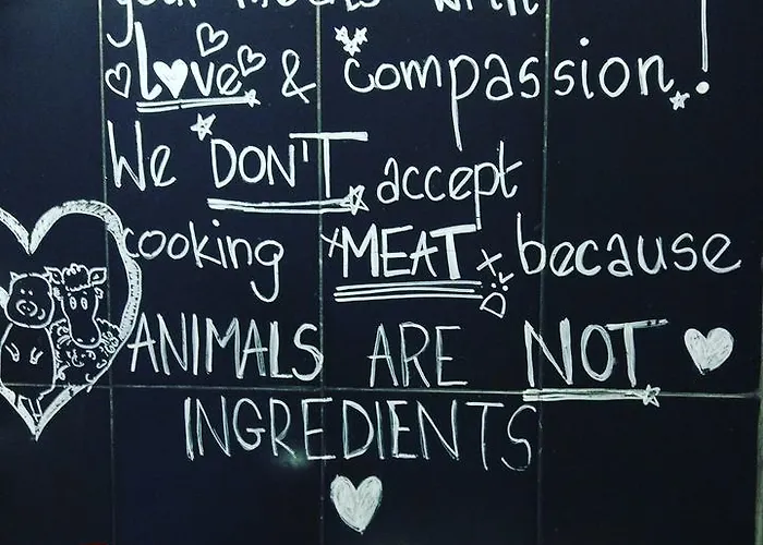 Albergue The Academy *