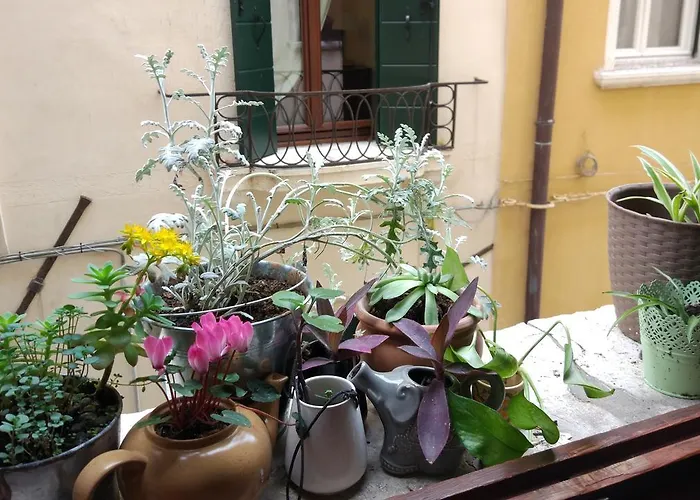 Albergue The Academy Veneza